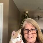 Aala Cure FIP GS-441524 for rescue fip cats
